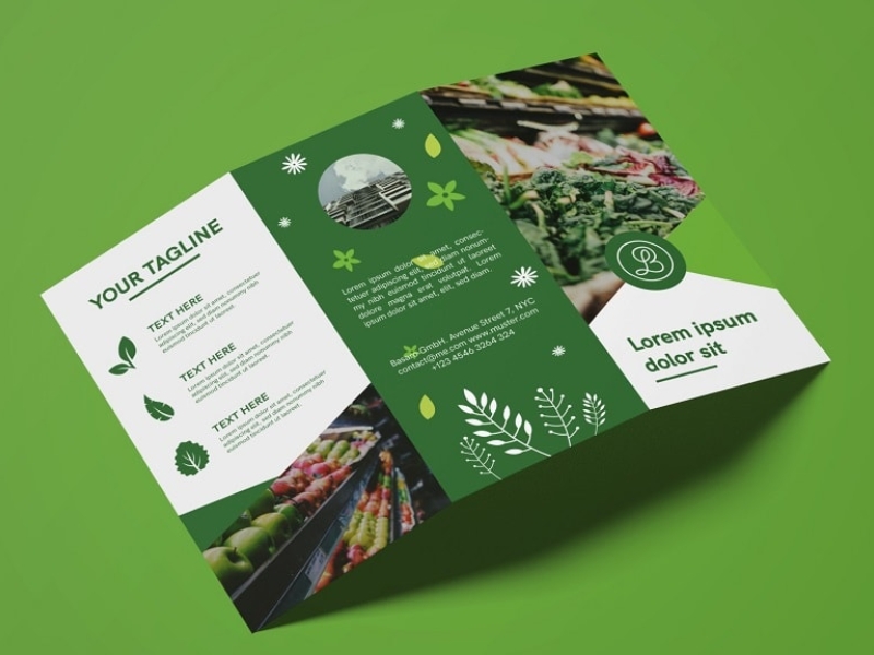 Hướng dẫn cách làm brochure từ A - Z bạn không nên bỏ qua